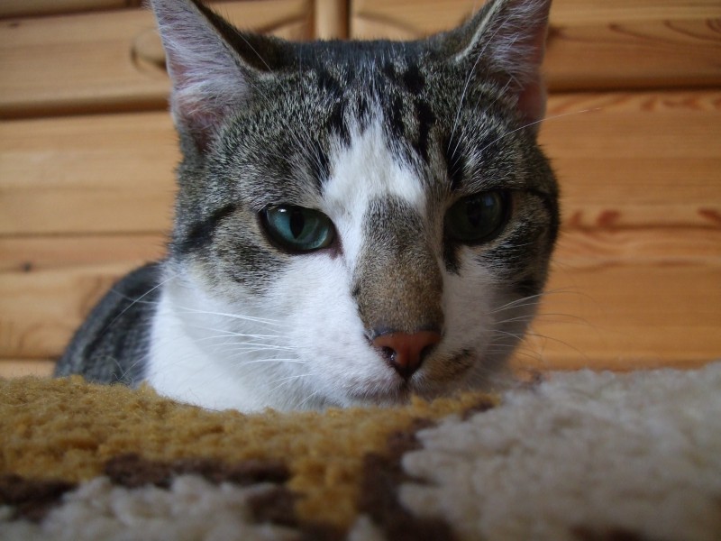 Ostern 2007 Orleshausen 155 